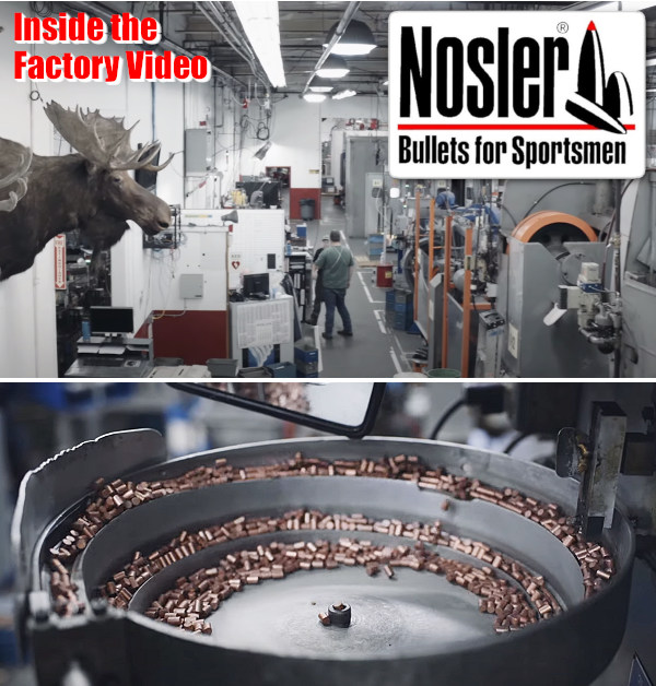 a moose head in a factory